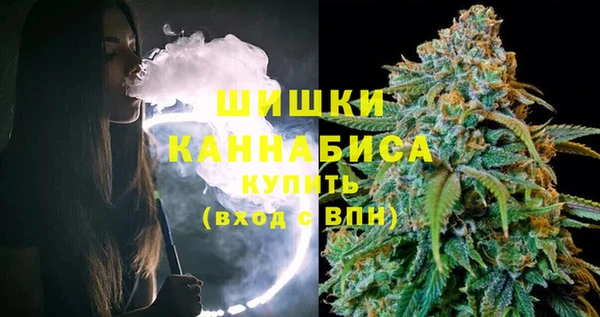 гидра Арсеньев