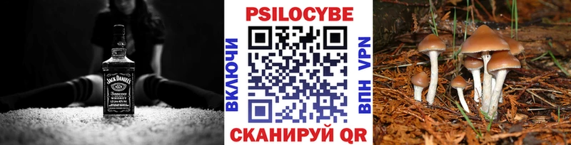 Галлюциногенные грибы ЛСД  Багратионовск 